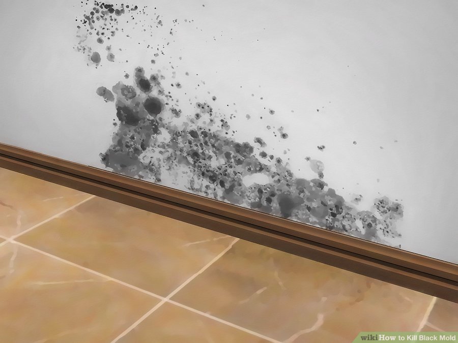 How to Take Precautions Against Mold