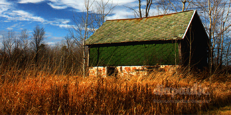 10 Tips for Earth-Friendly Home Renovation