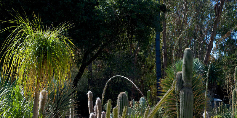 The best way to Use Ladders to get a Trellis